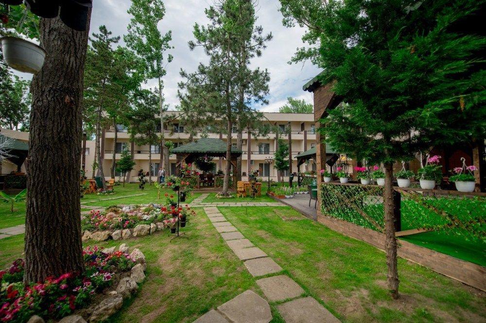 Voila Mamaia Hotel Eksteriør billede